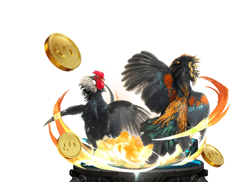 Sân đấu đá gà trực tuyến sôi động tại 66b đăng nhập